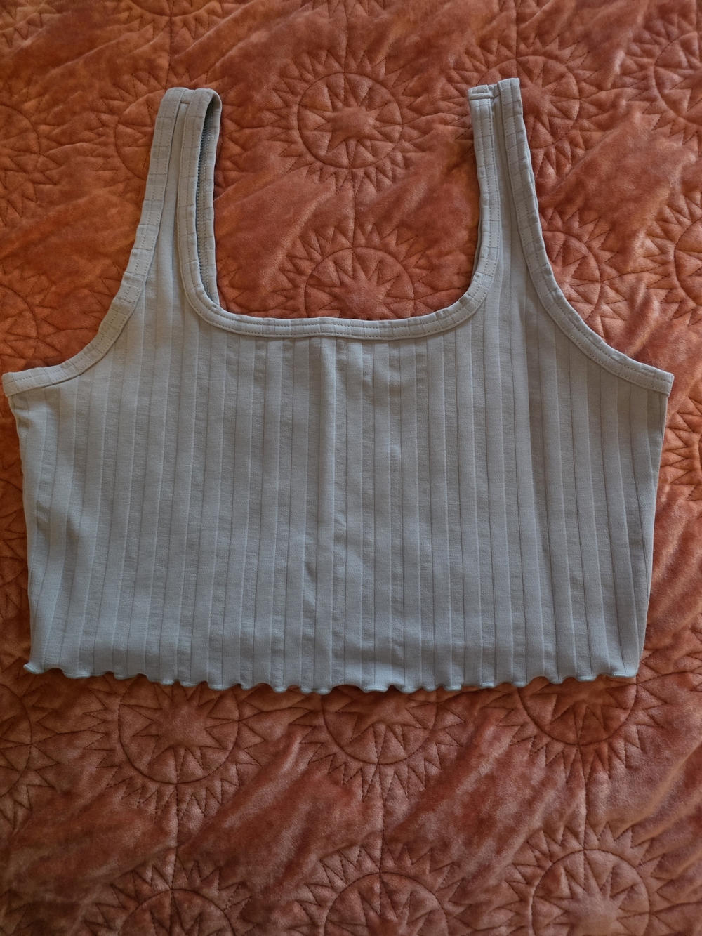 Offline Aerie Ribbed Crop Tank
